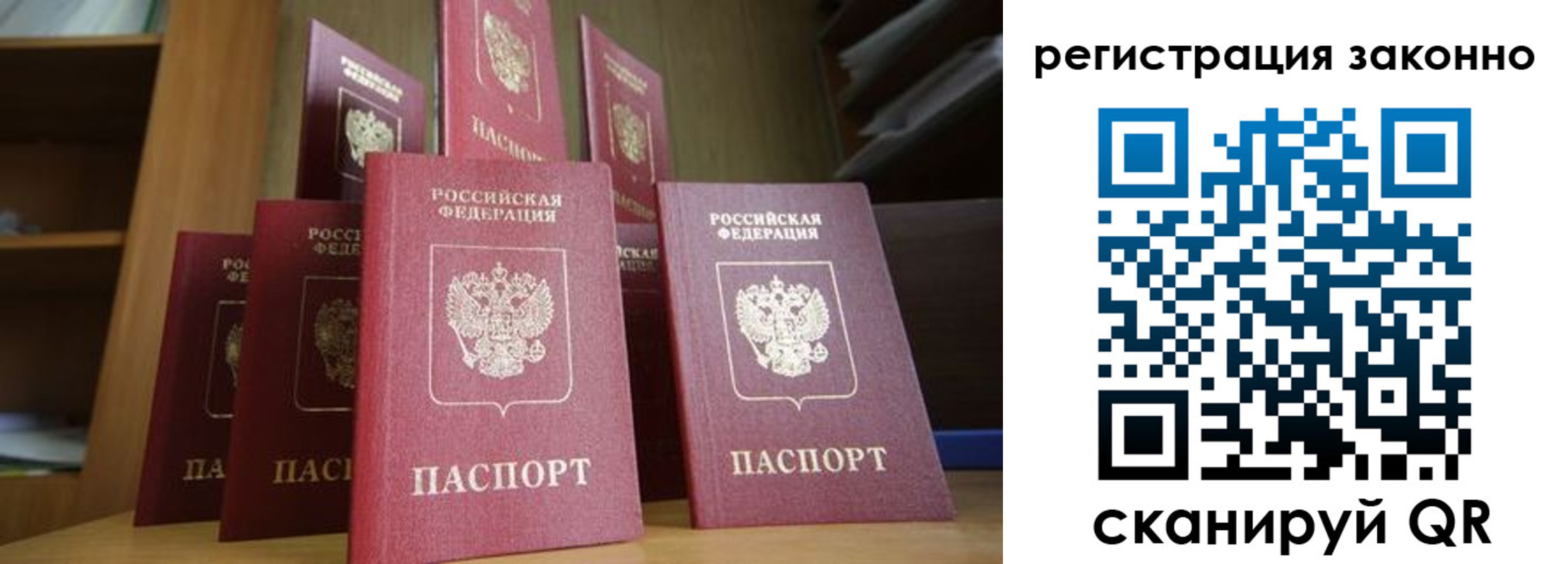 прописка для школы в Котласе